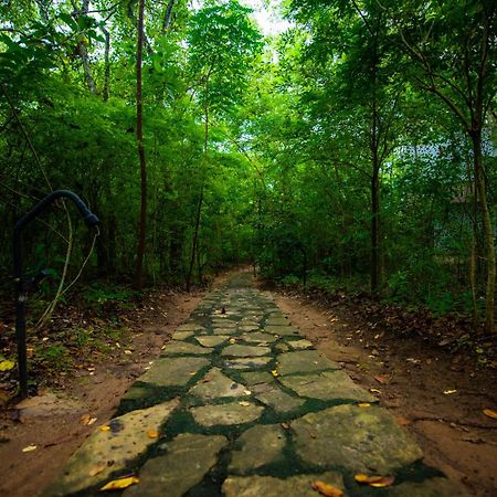 C B S Resort Udawalawe Eksteriør bilde