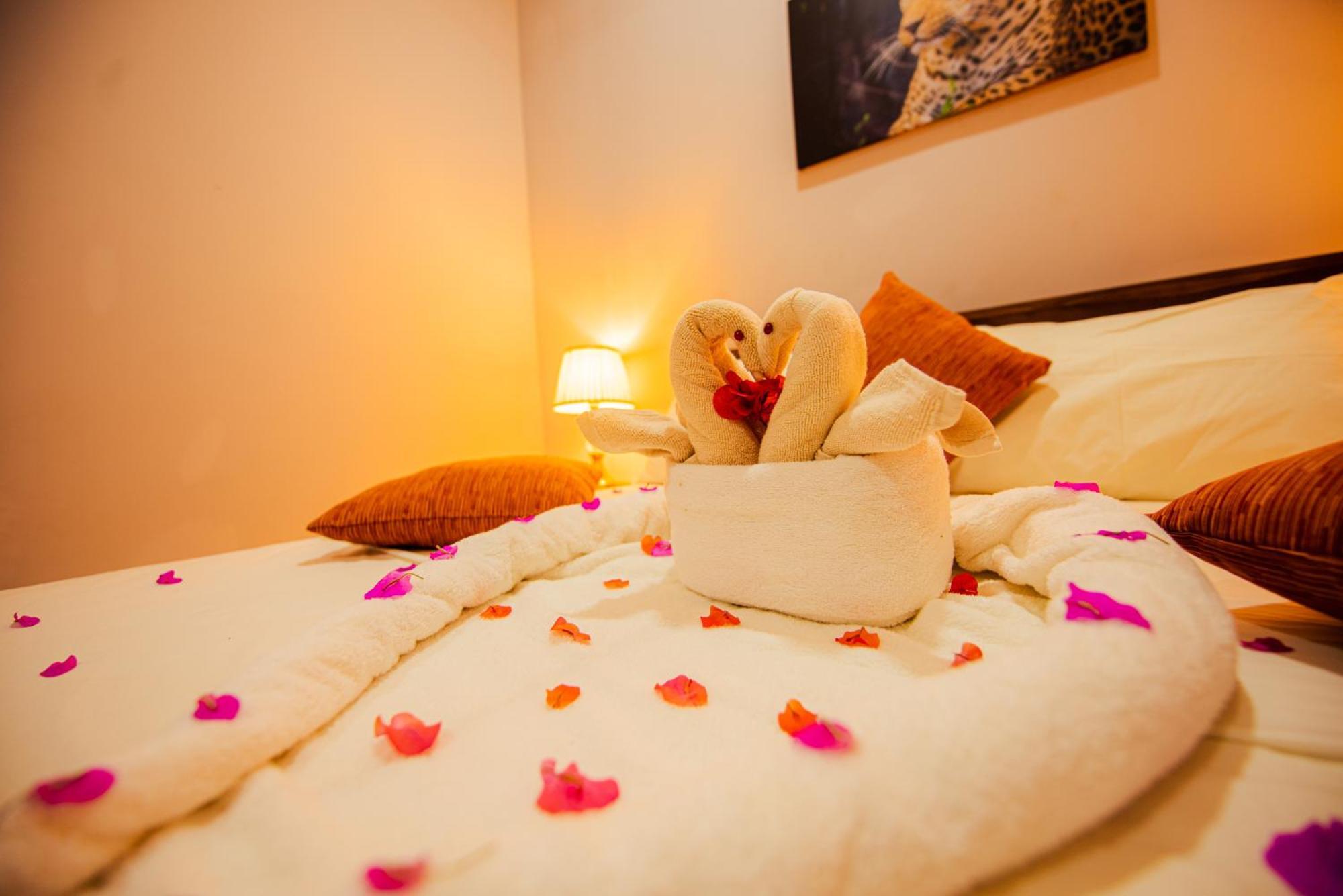 C B S Resort Udawalawe Eksteriør bilde